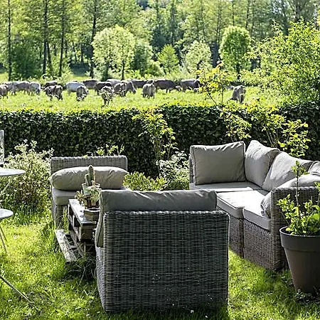 Bed & Breakfast La Singuliere *