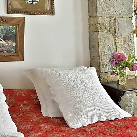 La Singuliere Bed & Breakfast Sévérac-le-Château