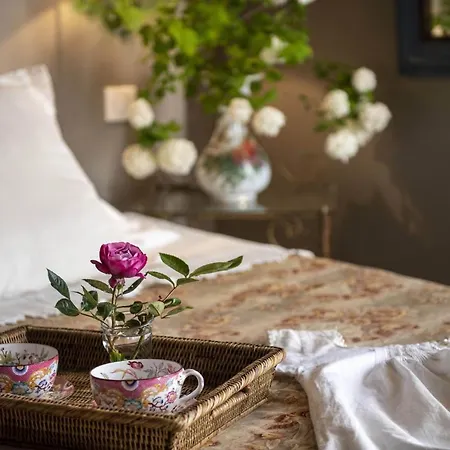 La Singuliere Bed & Breakfast Sévérac-le-Château