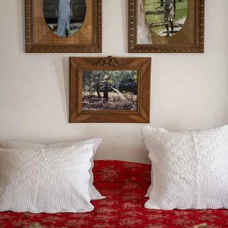 Bed & Breakfast La Singuliere *